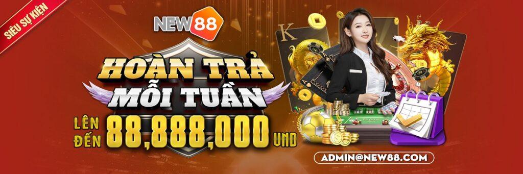 Khám phá trải nghiệm mua sắm độc đáo tại tiki market với nhiều ưu đãi hấp dẫn